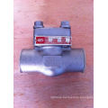 Forged Stainless Steel Class150 F316 Sw Check Valve